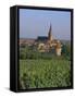 Bergheim and Vineyards, Alsace, France-John Miller-Framed Stretched Canvas