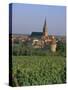 Bergheim and Vineyards, Alsace, France-John Miller-Stretched Canvas