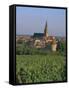 Bergheim and Vineyards, Alsace, France-John Miller-Framed Stretched Canvas