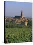 Bergheim and Vineyards, Alsace, France-John Miller-Stretched Canvas