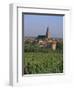 Bergheim and Vineyards, Alsace, France-John Miller-Framed Photographic Print