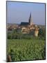 Bergheim and Vineyards, Alsace, France-John Miller-Mounted Photographic Print