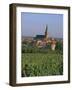 Bergheim and Vineyards, Alsace, France-John Miller-Framed Photographic Print