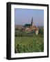 Bergheim and Vineyards, Alsace, France-John Miller-Framed Photographic Print