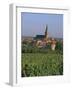 Bergheim and Vineyards, Alsace, France-John Miller-Framed Photographic Print