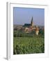 Bergheim and Vineyards, Alsace, France-John Miller-Framed Photographic Print