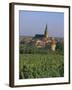 Bergheim and Vineyards, Alsace, France-John Miller-Framed Photographic Print