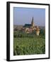 Bergheim and Vineyards, Alsace, France-John Miller-Framed Photographic Print