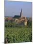 Bergheim and Vineyards, Alsace, France-John Miller-Mounted Photographic Print