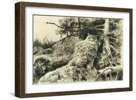 Berguv (Eagle Owl) Bubo Bubo, 1894-Bruno Andreas Liljefors-Framed Giclee Print