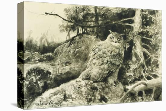 Berguv (Eagle Owl) Bubo Bubo, 1894-Bruno Andreas Liljefors-Stretched Canvas