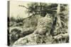 Berguv (Eagle Owl) Bubo Bubo-Bruno Liljefors-Stretched Canvas