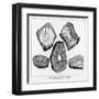 Beringer's Lying Stones Beringer-null-Framed Art Print