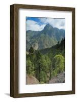 Berjenado Peak, Caldera De Taburiente Np, La Palma, Canary Islands, Spain, March 2009-Relanzón-Framed Photographic Print