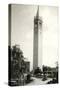 Berkeley Campanile-null-Stretched Canvas