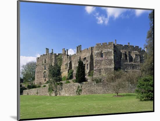 Berkeley Castle, Built in 1153, Gloucestershire, England, United Kingdom-Adam Woolfitt-Mounted Photographic Print