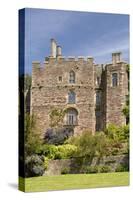 Berkeley Castle Gloucestershire-david martyn-Stretched Canvas