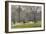 Berkeley Square, London-Julian Barrow-Framed Giclee Print