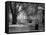 Berkeley Square-null-Framed Stretched Canvas