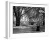 Berkeley Square-null-Framed Photographic Print