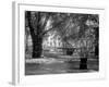 Berkeley Square-null-Framed Photographic Print