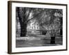 Berkeley Square-null-Framed Photographic Print