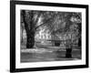 Berkeley Square-null-Framed Photographic Print