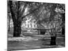 Berkeley Square-null-Mounted Photographic Print