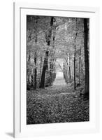 Berkshires Near Appalachian Trail Black and White-null-Framed Photo