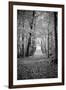 Berkshires Near Appalachian Trail Black and White-null-Framed Photo