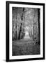 Berkshires Near Appalachian Trail Black and White-null-Framed Photo