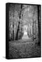 Berkshires Near Appalachian Trail Black and White-null-Framed Stretched Canvas