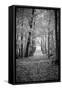 Berkshires Near Appalachian Trail Black and White-null-Framed Stretched Canvas