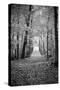 Berkshires Near Appalachian Trail Black and White-null-Stretched Canvas