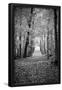 Berkshires Near Appalachian Trail Black and White-null-Framed Poster