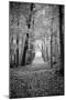 Berkshires Near Appalachian Trail Black and White-null-Mounted Poster