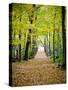 Berkshires Near Appalachian Trail Photo Art Print Poster-null-Stretched Canvas