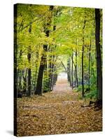 Berkshires Near Appalachian Trail Photo Art Print Poster-null-Stretched Canvas