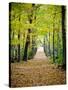 Berkshires Near Appalachian Trail Photo Art Print Poster-null-Stretched Canvas