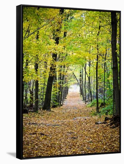 Berkshires Near Appalachian Trail Photo Art Print Poster-null-Framed Stretched Canvas