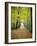 Berkshires Near Appalachian Trail Photo Art Print Poster-null-Framed Poster