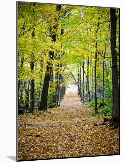 Berkshires Near Appalachian Trail Photo Art Print Poster-null-Mounted Poster