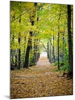 Berkshires Near Appalachian Trail Photo Art Print Poster-null-Mounted Poster