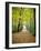 Berkshires Near Appalachian Trail Photo Art Print Poster-null-Framed Art Print