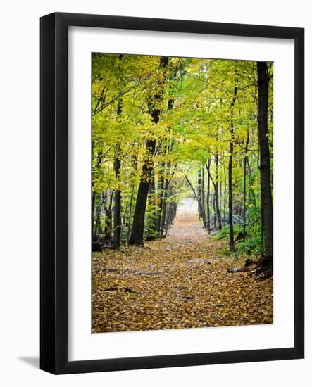 Berkshires Near Appalachian Trail Photo Art Print Poster-null-Framed Art Print