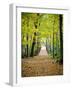 Berkshires Near Appalachian Trail Photo Art Print Poster-null-Framed Art Print