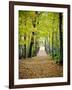 Berkshires Near Appalachian Trail Photo Art Print Poster-null-Framed Art Print