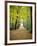 Berkshires Near Appalachian Trail Photo Art Print Poster-null-Framed Premium Giclee Print