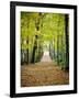 Berkshires Near Appalachian Trail Photo Art Print Poster-null-Framed Premium Giclee Print