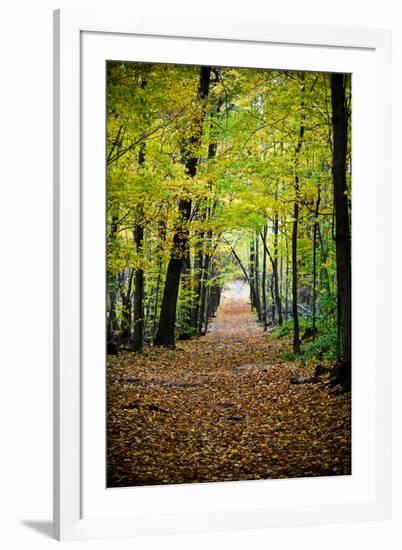 Berkshires Near Appalachian Trail-null-Framed Photo